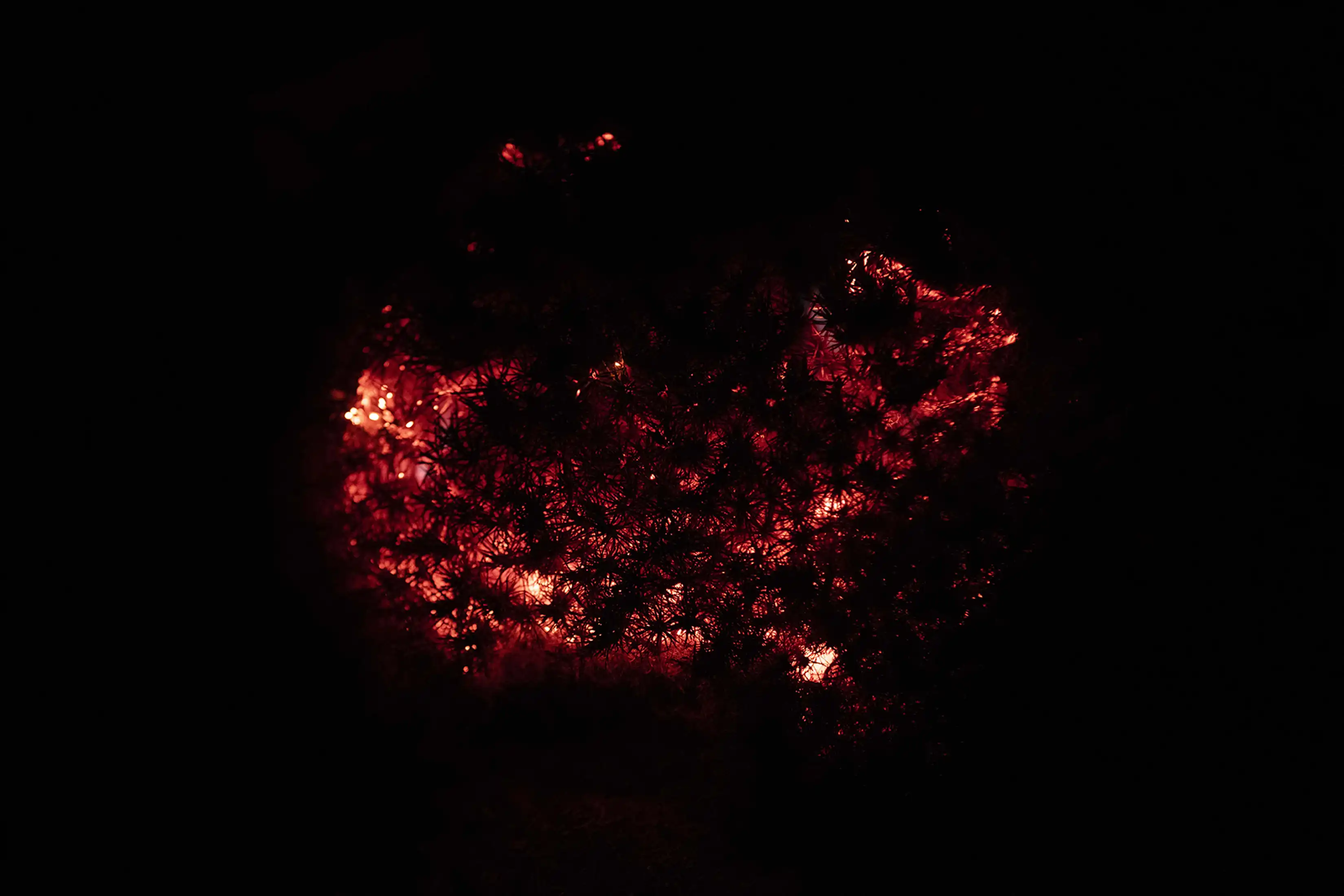 Night of Fire photograph 10